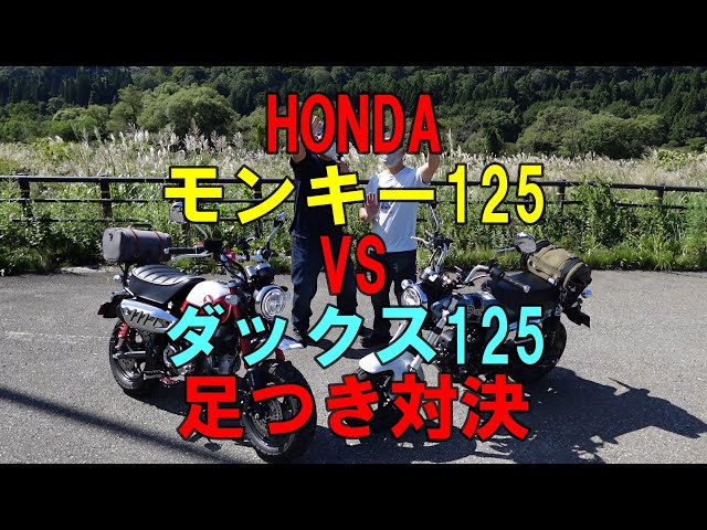 モトブログ】 HONDA モンキー125 VS ダックス125 足つき対決 - YouTube