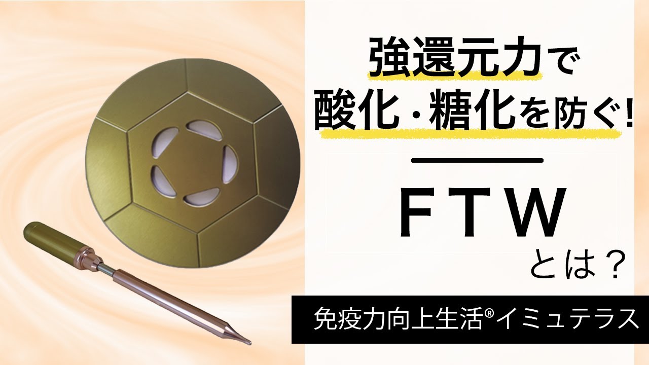 FTW使い倒しBOOK2 もっと知りたい!深掘りFTW-イミュテラス通販