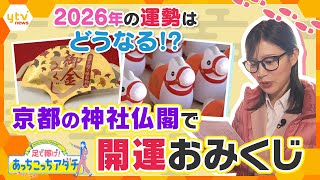 京都の神社仏閣でユニークな開運おみくじ【かんさい情報ネット ten