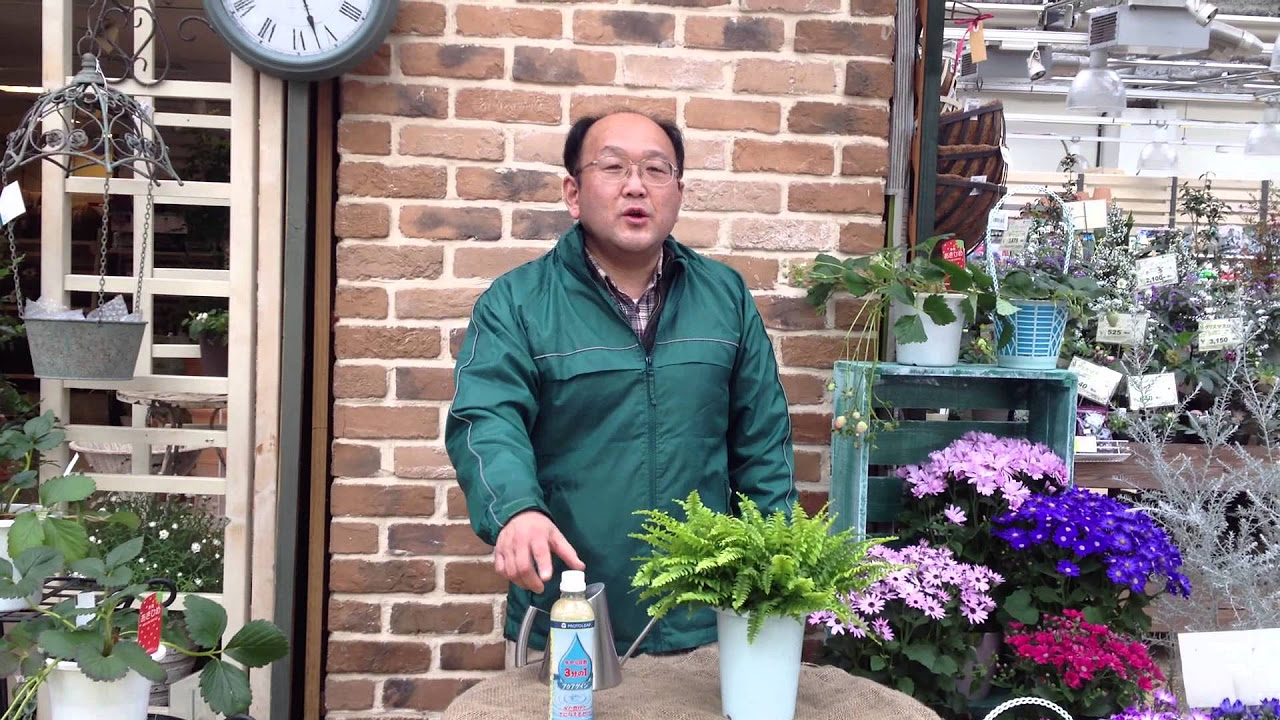 アクアゲイン 商品紹介 - YouTube