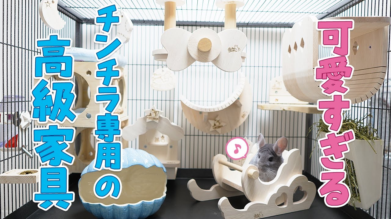 チラステージの商品でケージをレイアウトしたら宇宙一可愛くなった