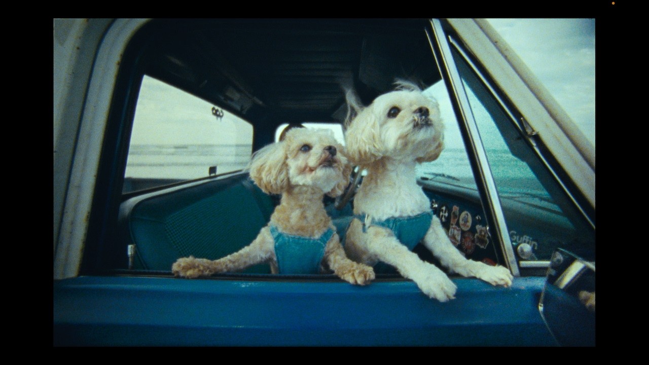 GENERATIONS OFFICIAL FAN CLUB