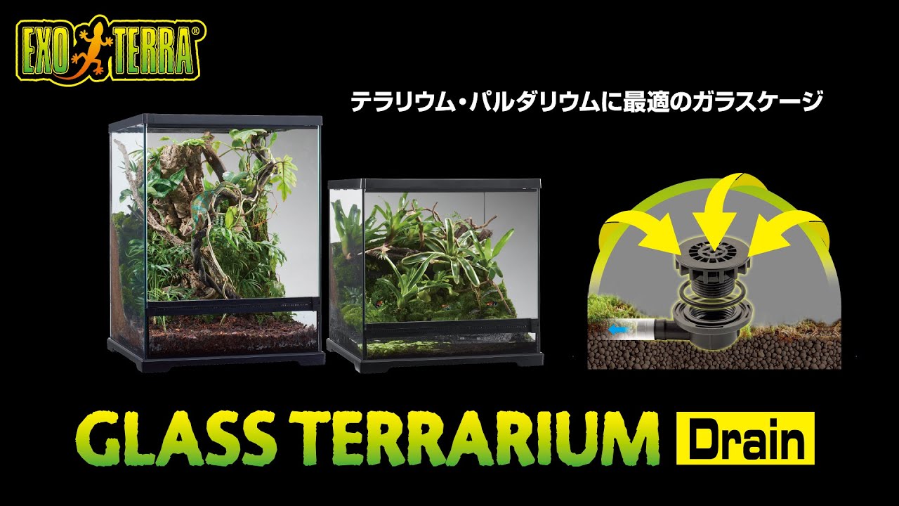 パルダリウムに最適なドレイン機能付きグラステラリウム - YouTube