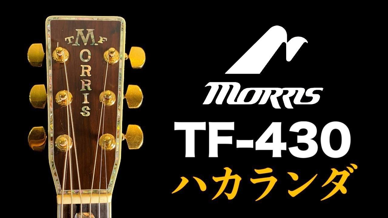 限定モデル ハカランダ【Morris TF-430】＆質問コーナー「高額ギターの