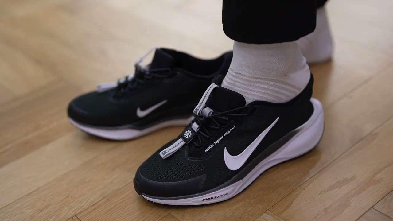 ナイキ Pegasus EasyOn エアズーム ペガサス イージーオン FQ7837-002