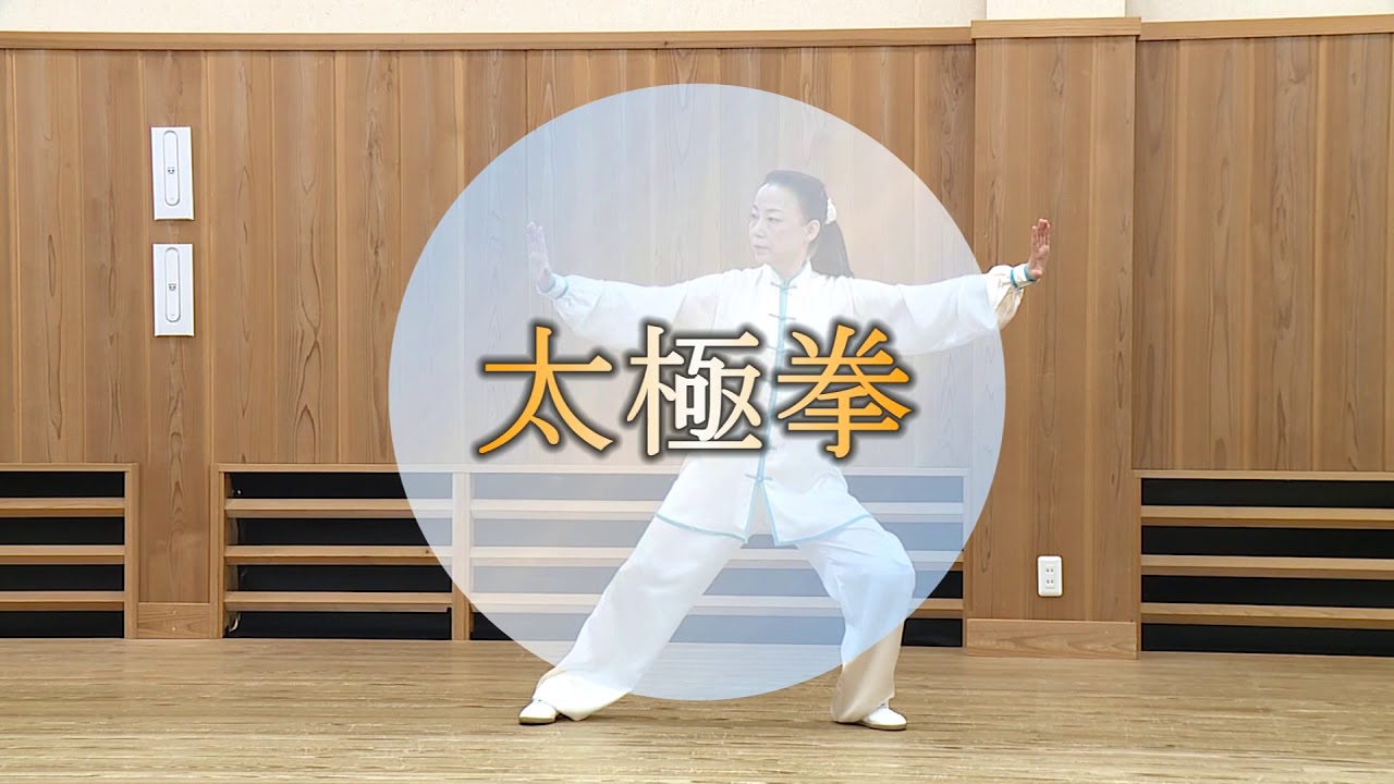 李徳芳【味わいある孫式太極拳の初DVD！】SUN STYLE 73 FORM TAI JI