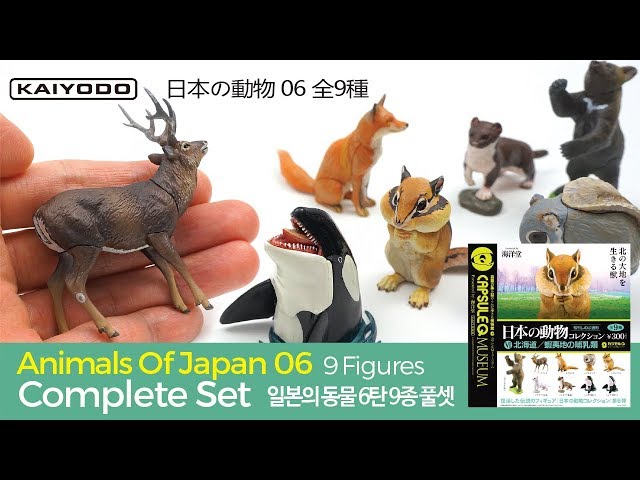 Animals Of Japan Vol.06 : HOKKAIDO / 日本の動物 6: 北海道