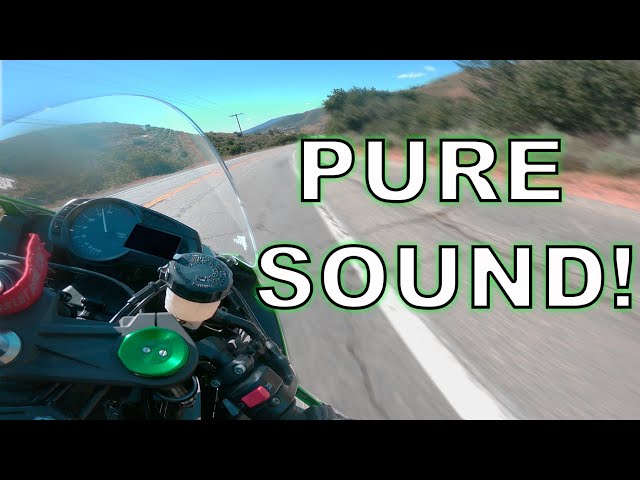 14 MINUTES OF FUN ON MY ZX-6R (PURE SOUND!🔥) - YouTube