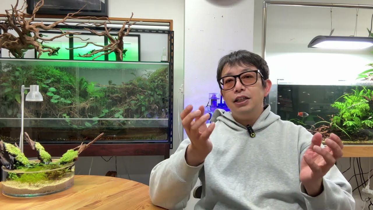 I'll tell you about the most fascinating and fun tropical fish I