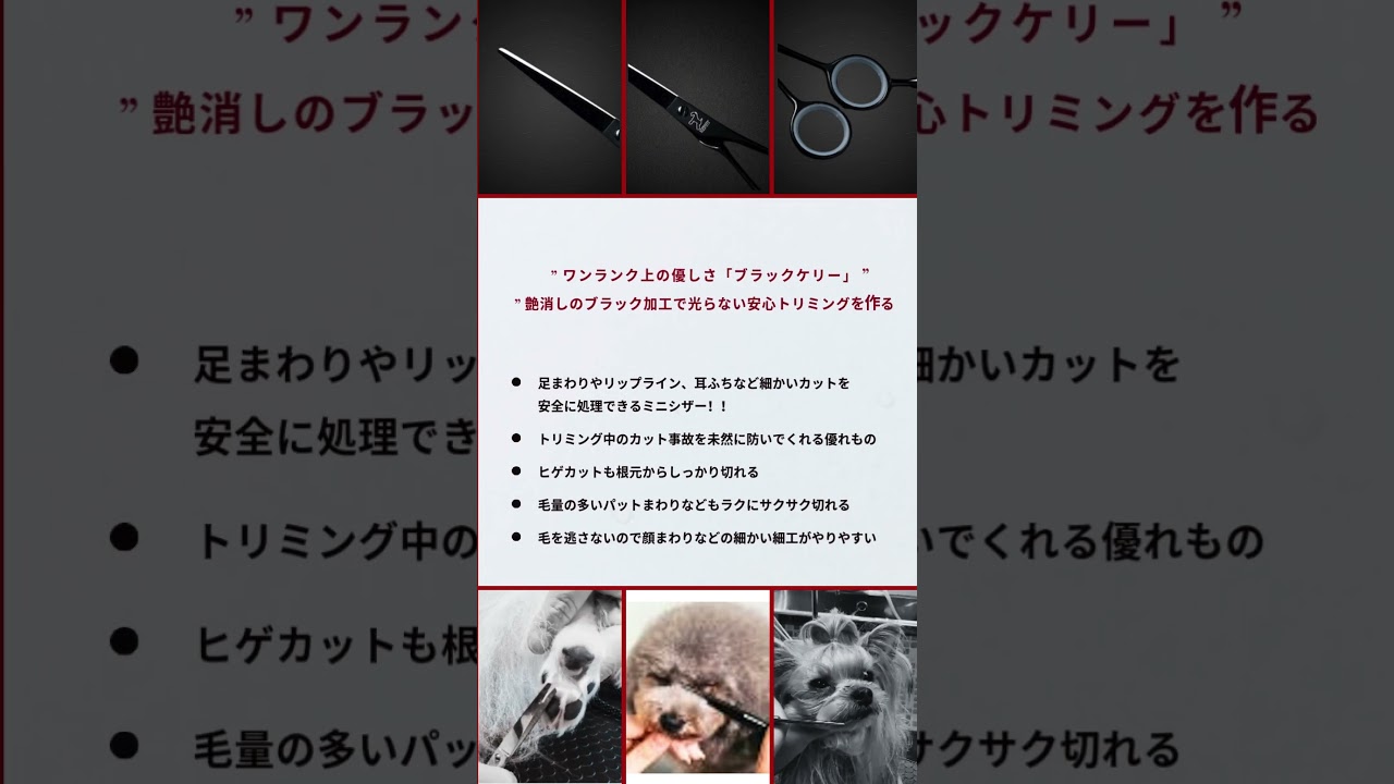 ワンクス ケリー BTP-55S ミニシザー(Wanx) ハサミ屋はやし