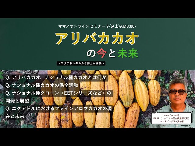 エクアドルのアリバカカオとは何か？ナショナル種カカオとは何か