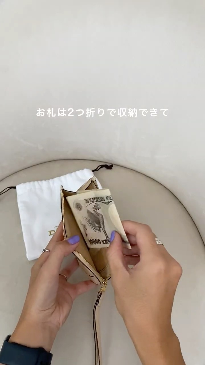 名品発掘🤍DELVAUX（デルヴォー）パン D マルチファンクション