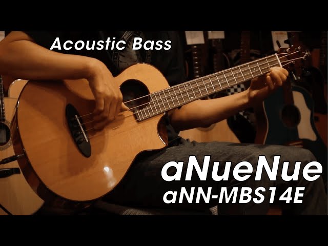aNueNue aNN-MBS14E Demo - Acoustic Mini Bass - YouTube