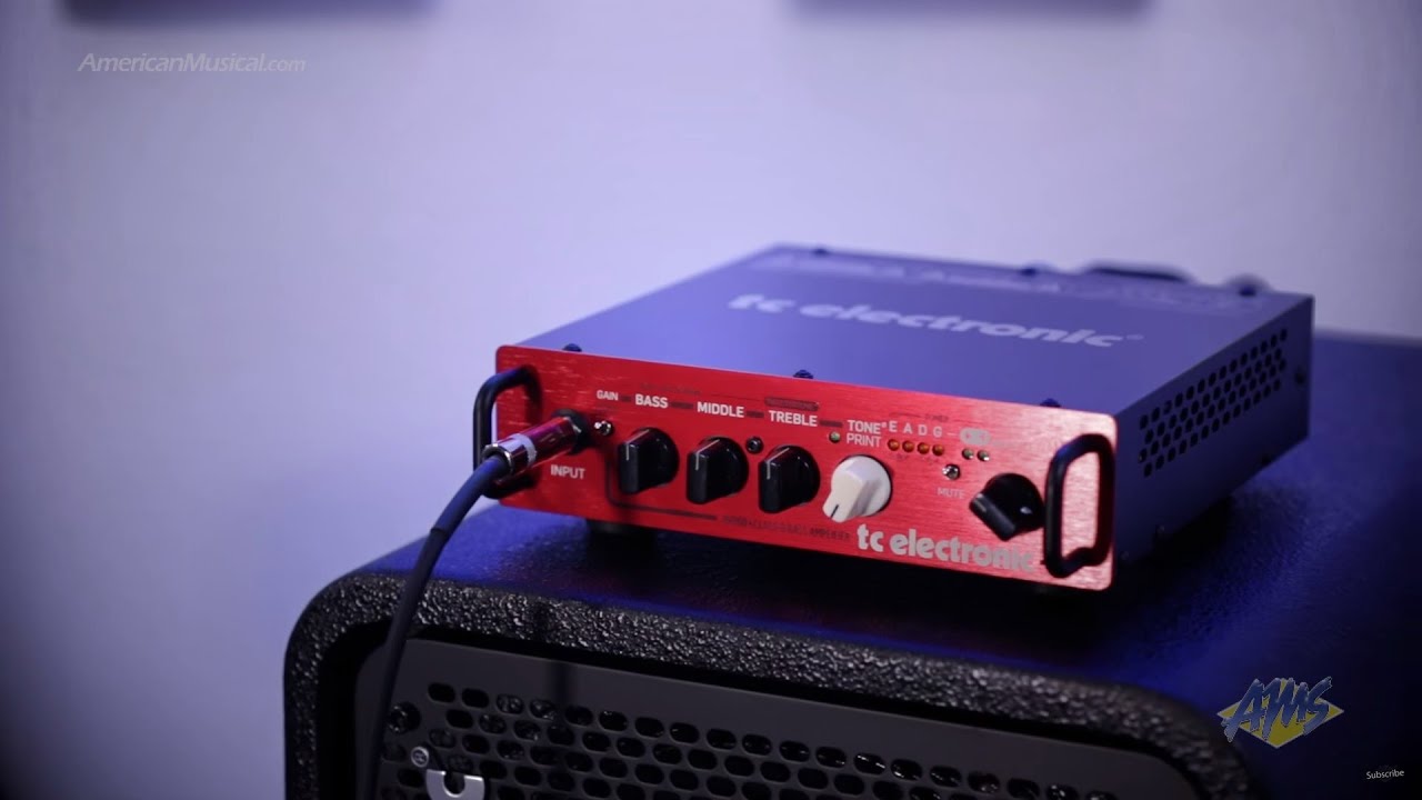 TC Electronic BH250 Ultra-Compact Bass Guitar Amplifier Head - TC