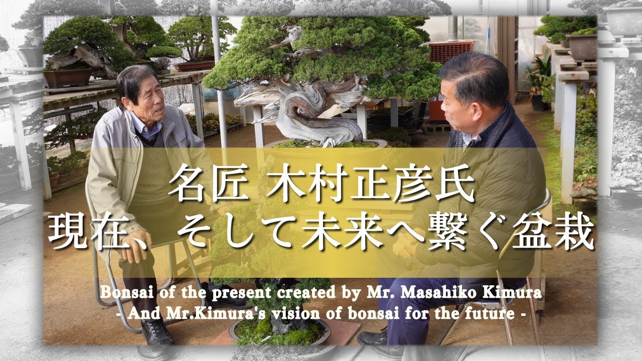 Bonsai of the present created by Mr. Masahiko Kimura - And his