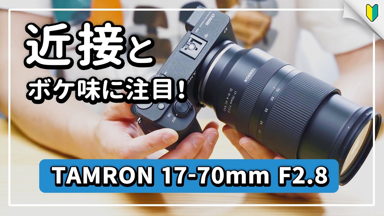 TAMRON 17-70mm F/2.8の作例レビュー！ボケ味と近接性能が凄いSONY APS