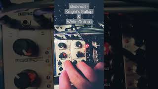 Shakmat Knight's Gallop - Eurorack Module on ModularGrid