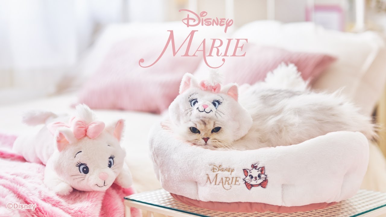 ディズニー マリー 猫じゃらし 《しっぽ / リボン》 / PET PARADISE