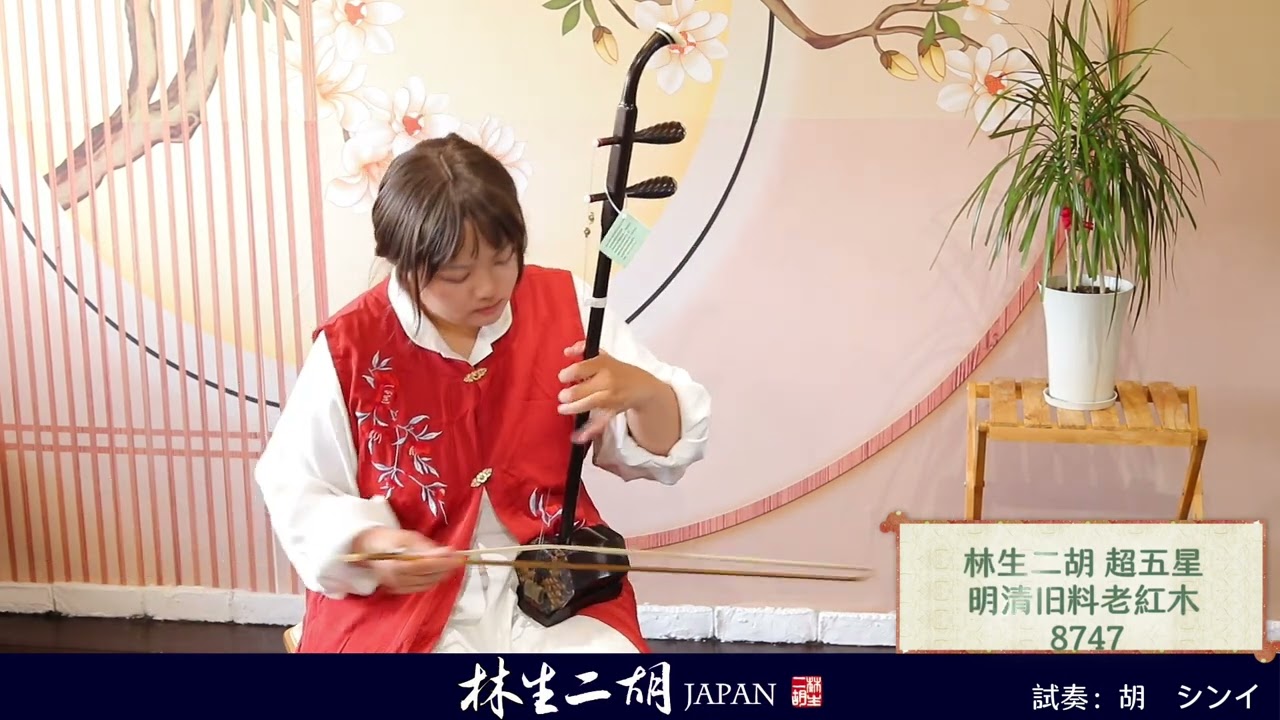 ◇店頭在庫◇【超五星 明清旧料老紅木 No.8747】林生二胡 陸林生 - YouTube