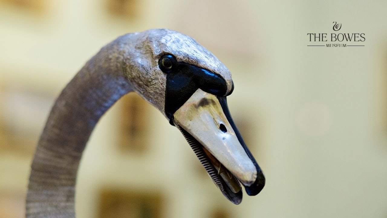 The Silver Swan 銀の白鳥 | tori.no.saezuri