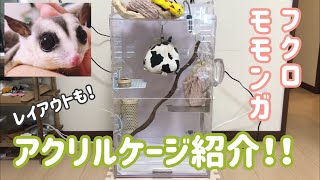 アクリルルーム390high】フクロモモンガのアクリルケージ紹介！使っ