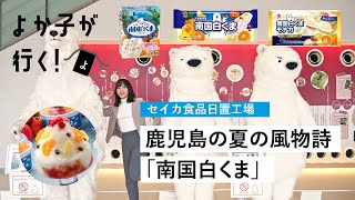 南国白くま白12個セット(S12-50) セイカ食品