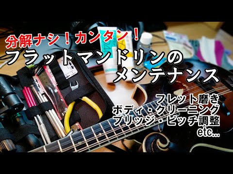 カンタン！フラットマンドリンのメンテナンス ー フレット磨き、ボディ