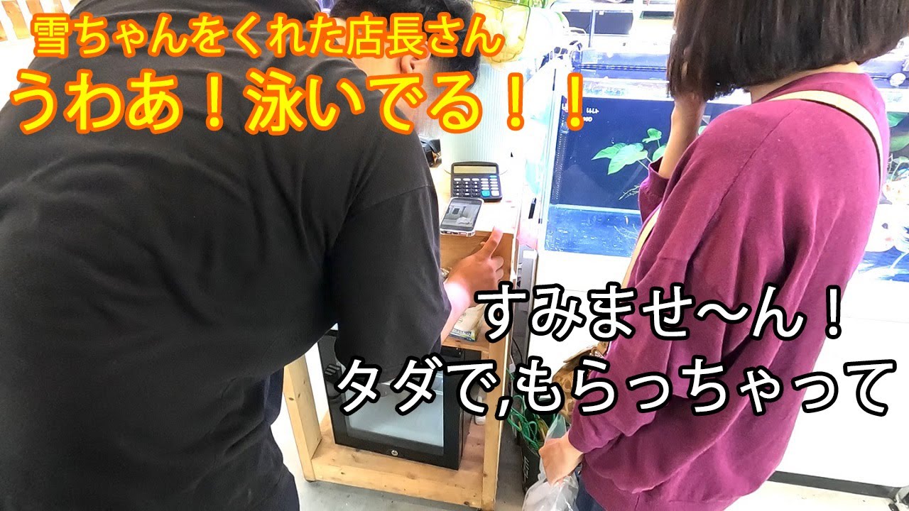 16 The manager wished Yuki-chan happiness. - YouTube