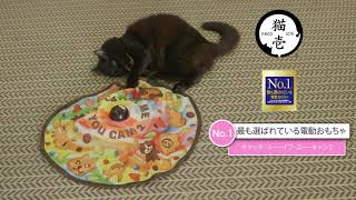 キャッチ・ミー・イフ・ユー・キャン2｜猫壱公式オンラインストア