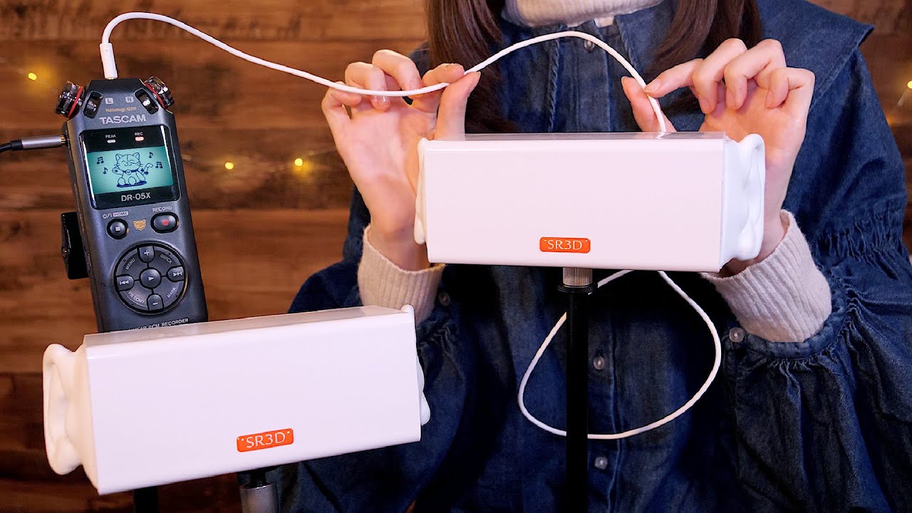 SR3D バイノーラル ASMR／USB／ コンデンサーマイク | パンダスタジオ