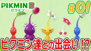 メンバー増えたよピクミン2始動！？【ピクミン2】#1 picmin2 - YouTube