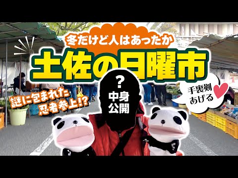 高知の日曜市はあったかい!謎のパンダ忍者参上!!!（土佐の日曜市