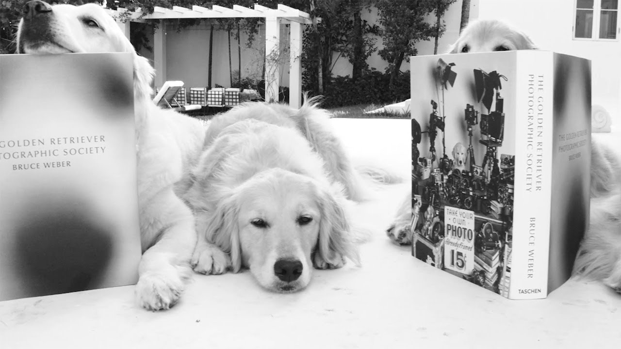 Bruce Weber. The Golden Retriever Photographic Society - YouTube