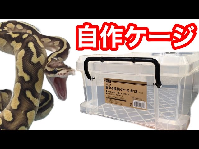 衣装ケースではなくコンテナボックスでボールパイソン用ケージを自作