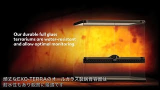 グラステラリウムナノ PT2601 | ジェックス株式会社