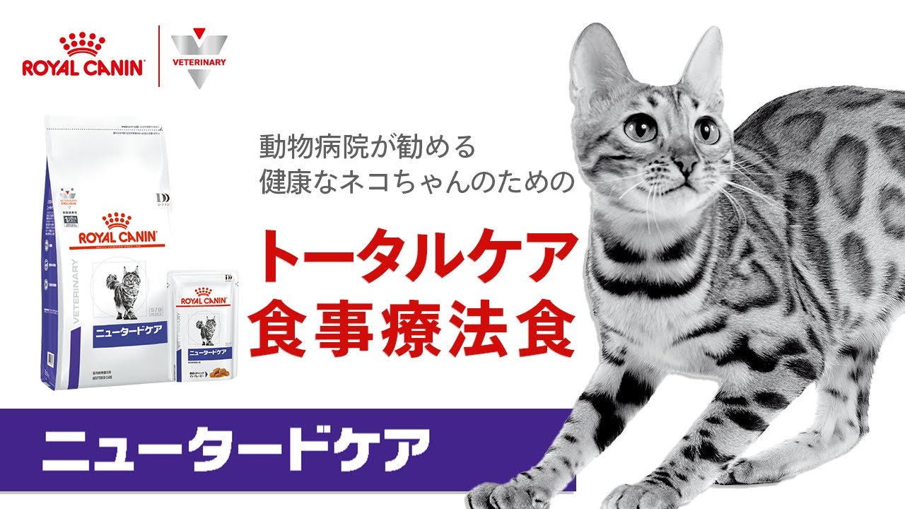 ロイヤルカナン Dライン 〈猫用〉 ニュータードケア パウチ 85g×24個