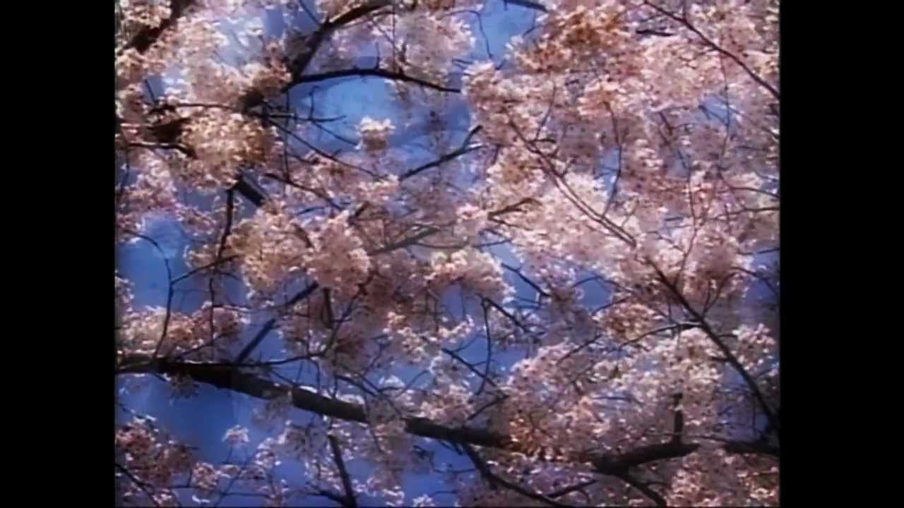 四季（春）～ ヴィヴァルディVIVALDI - YouTube