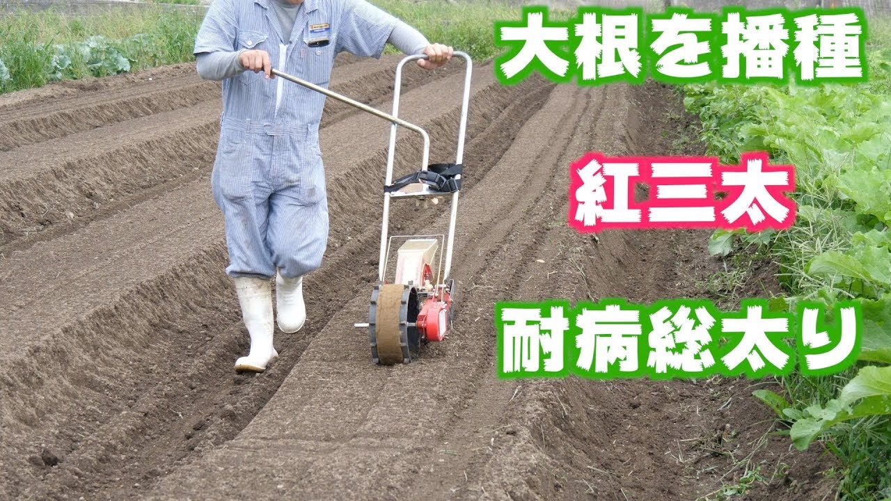 種まきごんべえ ﾜﾝﾎﾟｲﾝﾄｼｰﾀﾞｰ HS-801 | 商品紹介 | タキイ農業資材