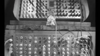 L-1 Quad VC Resonant Equalizer - Eurorack Module on ModularGrid