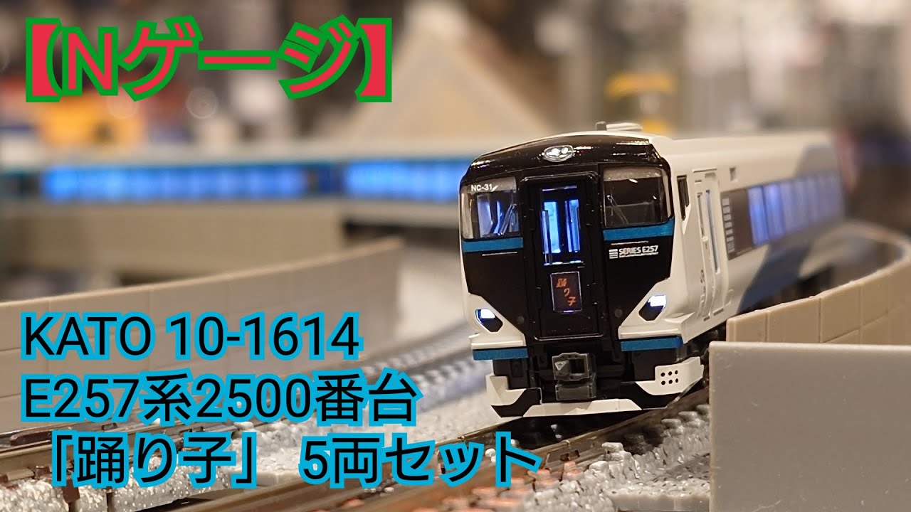 Nゲージ】KATO 10-1614 E257系2500番台「踊り子」5両セット 開封して