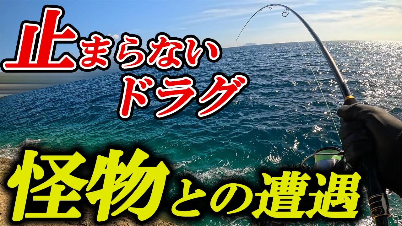 What is the difference between Daiwa's Shore Spartan and Jig