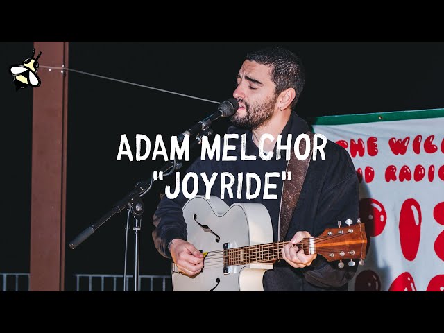 Adam Melchor - Joyride | The Wild Honey Pie Pizza Party - YouTube