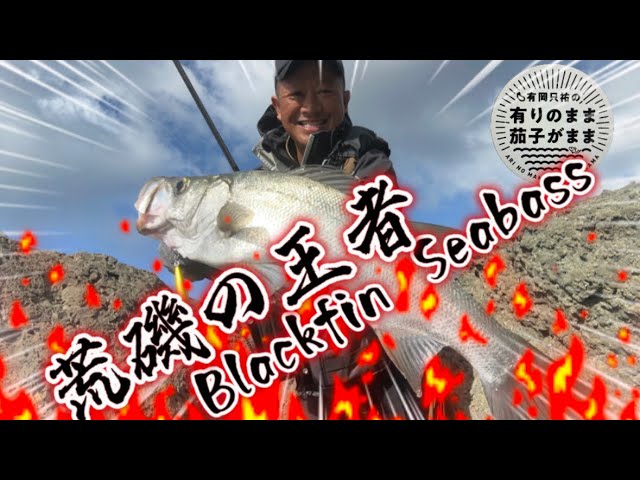 Lure] 2023 #1 New Rod for targeting rockfish - YouTube