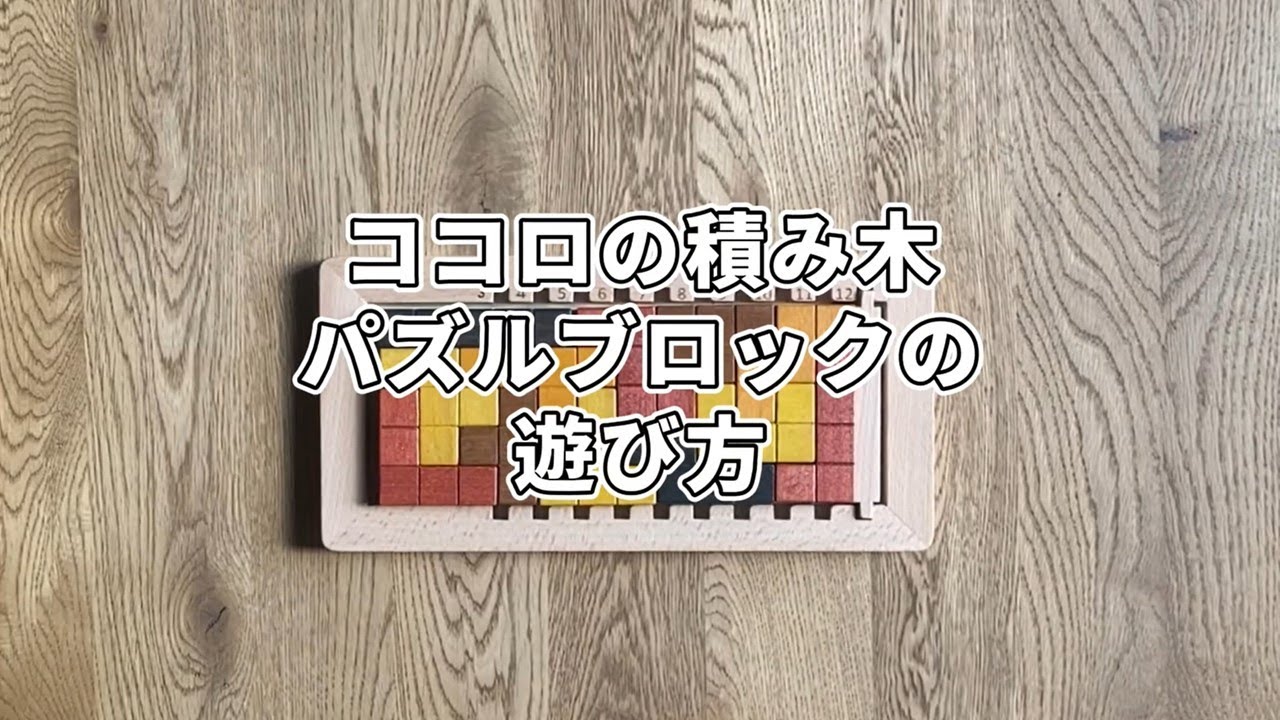 天然木の温もりを感じ 立体的パズルを楽しむ ココロの積み木 パズル