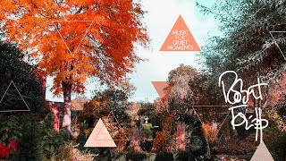 Robert Fripp - Music For Quiet Moments 32 - A Move Inside I