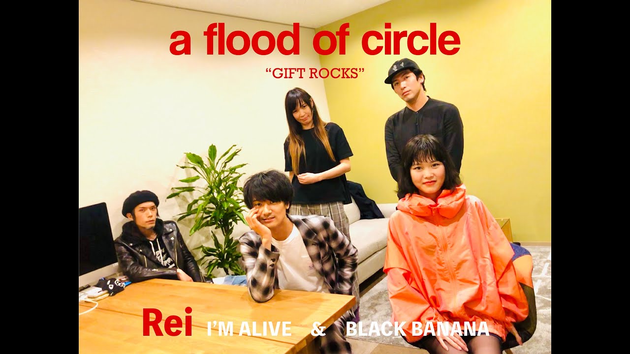 GIFT ROCKS -Movie-】Rei × a flood of circle - YouTube