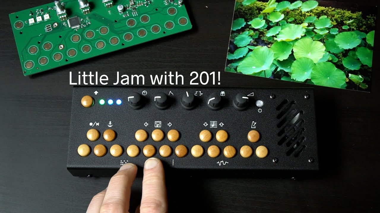 Critter & Guitari - Bolsa Bass - YouTube