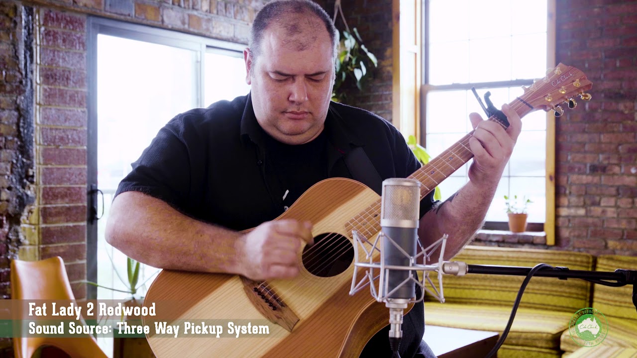 Cole Clark: FL2EC Redwood Sound Demo - YouTube