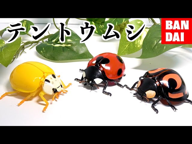 Latest] The ladybug in the ¥1000 gacha is too crazy [BANDAI/The