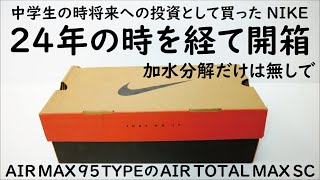 I opened the box of my Nike Air Max 95 shoes, purchased 24 years